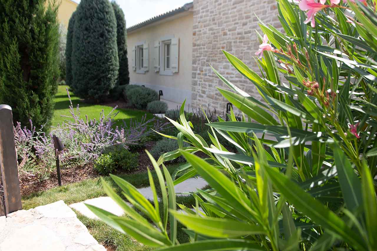 Zoeyland radovi — fotografija 18